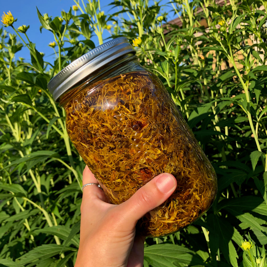 Calendula Healing Salve