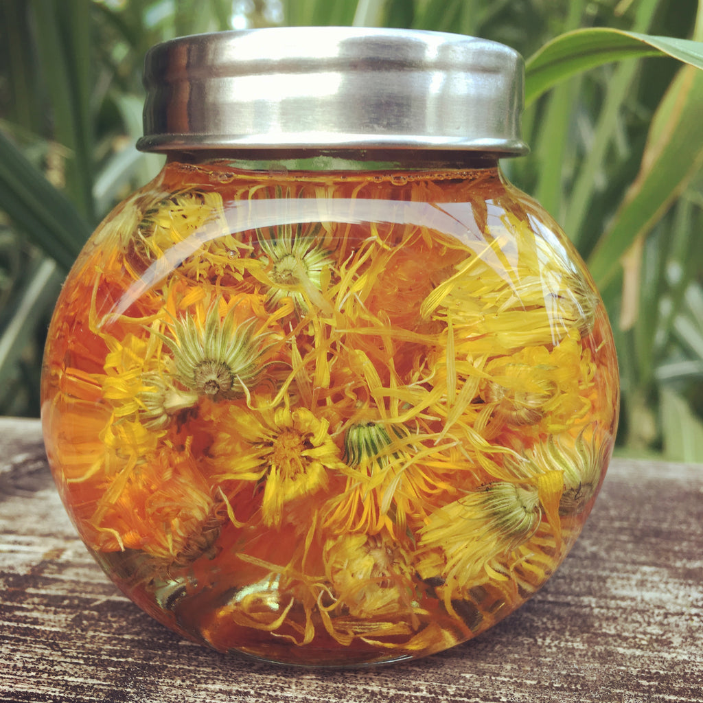 Calendula Healing Salve