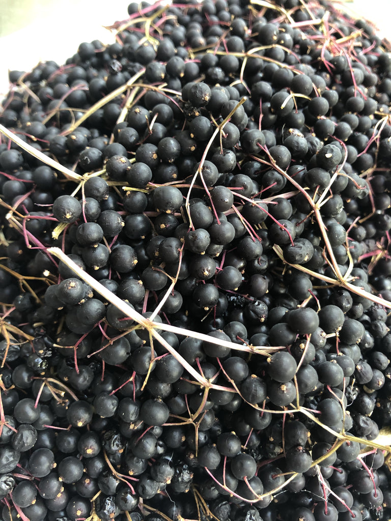 Elderberry Syrup